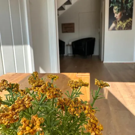 Διαμέρισμα Sentrumsnaer Med 4 Soverom - Aurora Τρόμσο